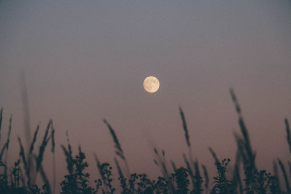 Moon over the Nine Mile Prairie