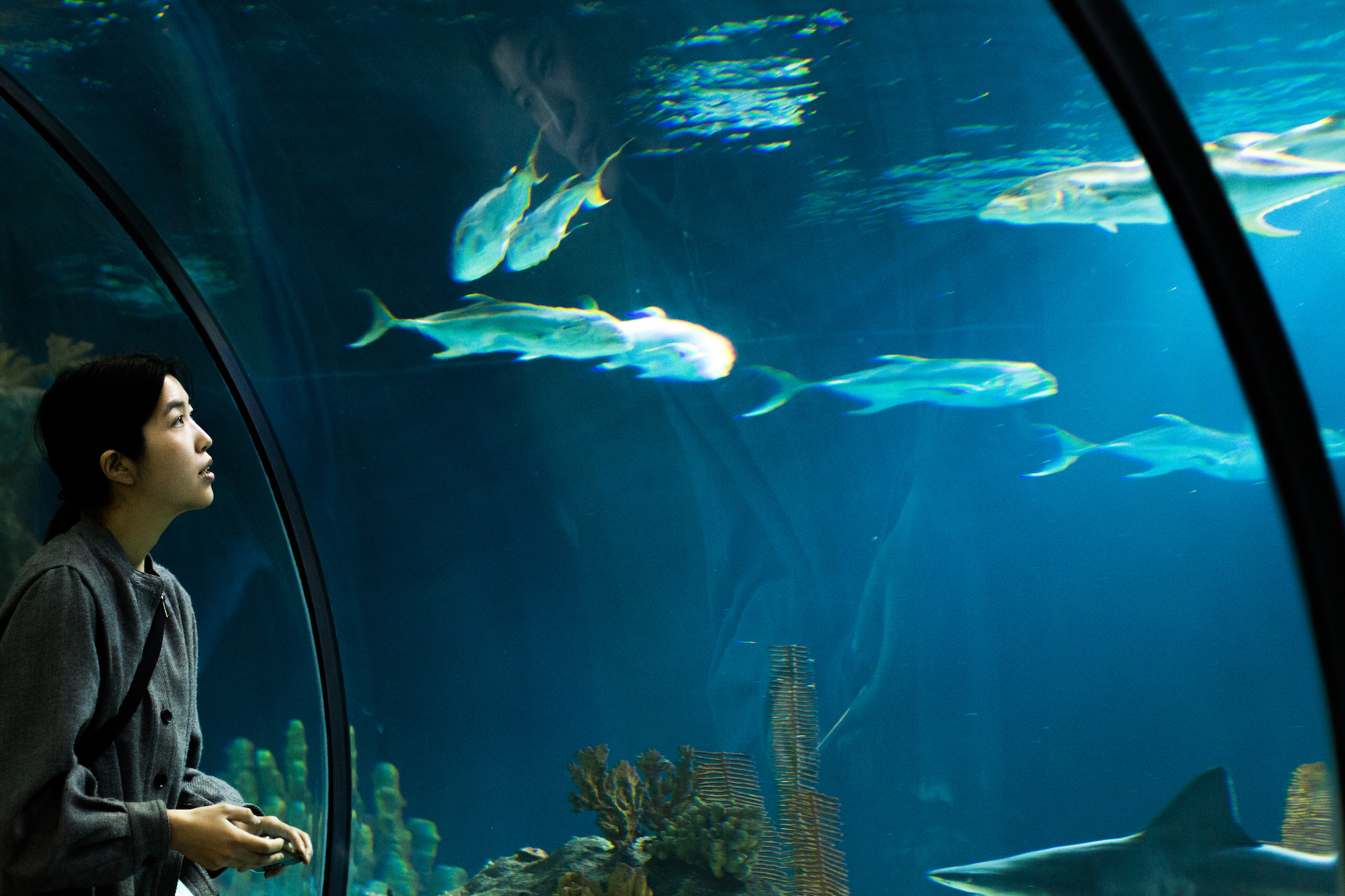 Shiho at the Omaha Zoo.